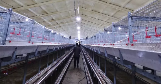 養(yǎng)鴨場老板：熱泵供暖溫度高，費用比燒煤還??！